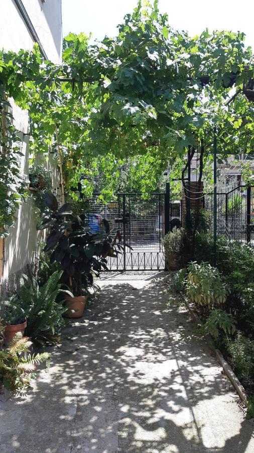 Casa Sofia - Appartamento Con Parcheggio Riservato Terni Luaran gambar